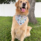 Bark ranger- choose your colorway!