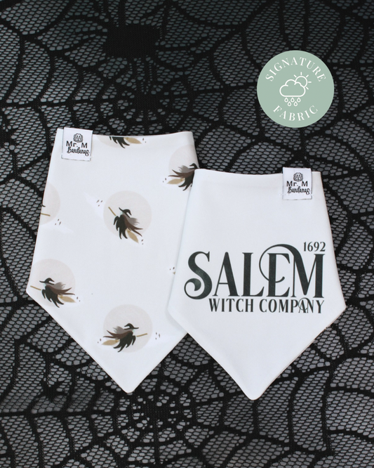 Salem Witch Company
