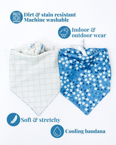 Blue Jean blooms- SALE