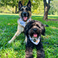 Woof Receivers- MMB exclusive