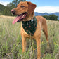 Fall BYOB (build your own bandana)
