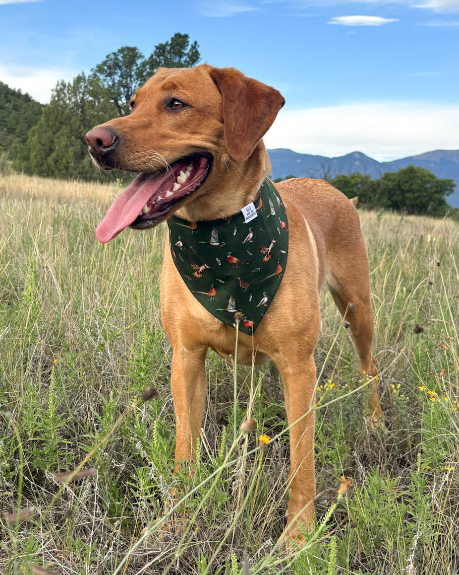 Fall BYOB (build your own bandana)