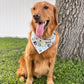 Bark ranger- choose your colorway!