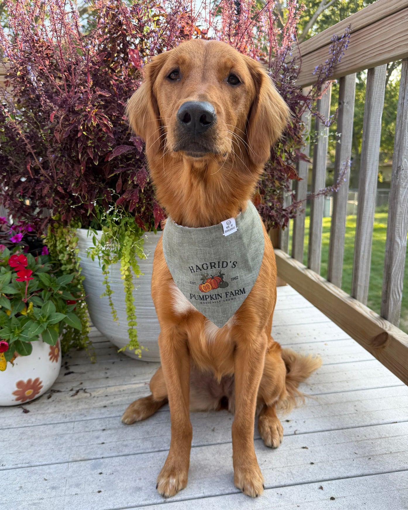 Fall BYOB (build your own bandana)