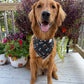 Fall BYOB (build your own bandana)