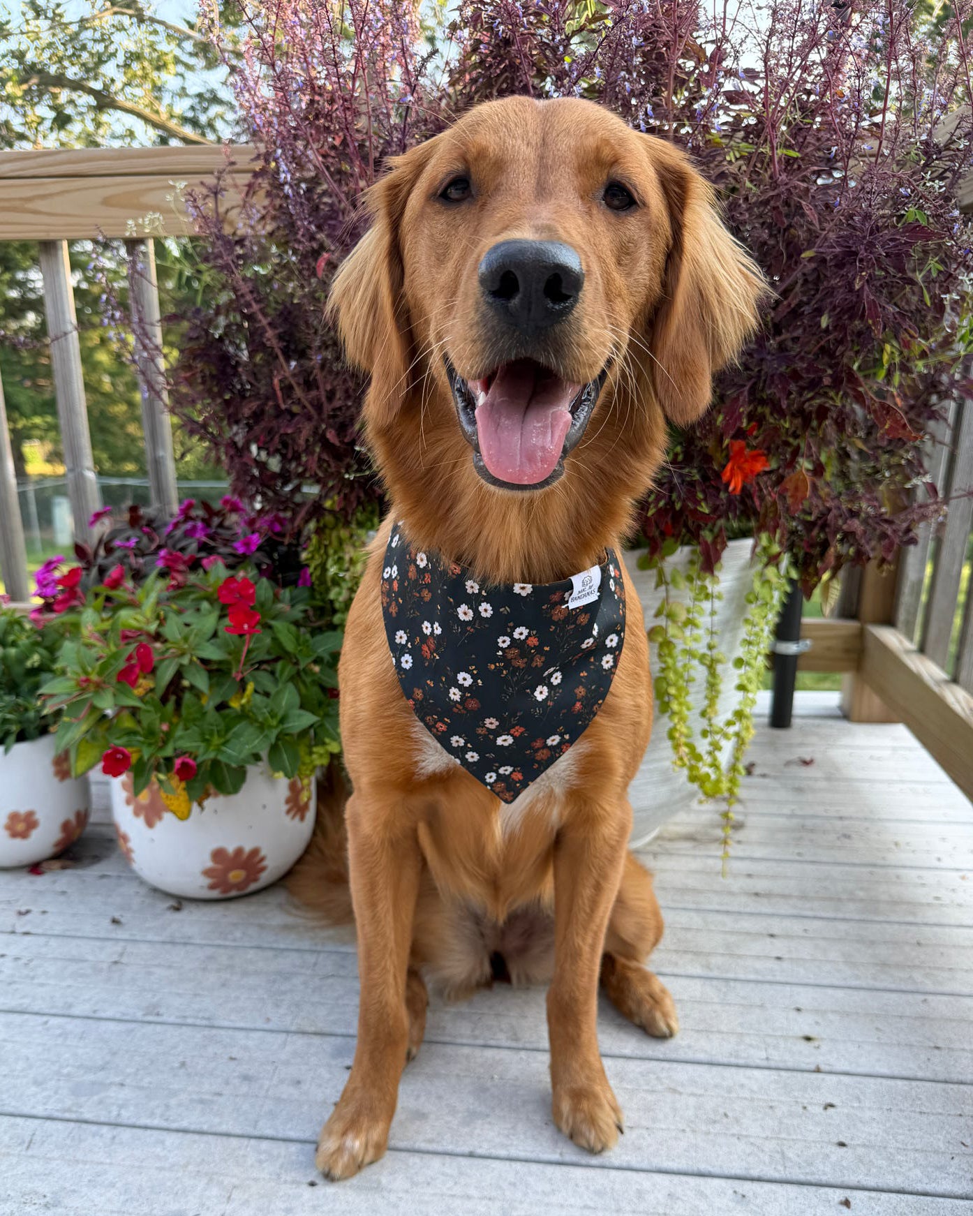 Fall BYOB (build your own bandana)