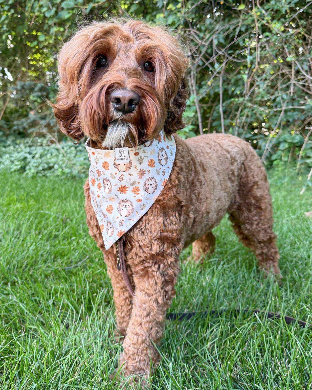 Fall BYOB (build your own bandana)