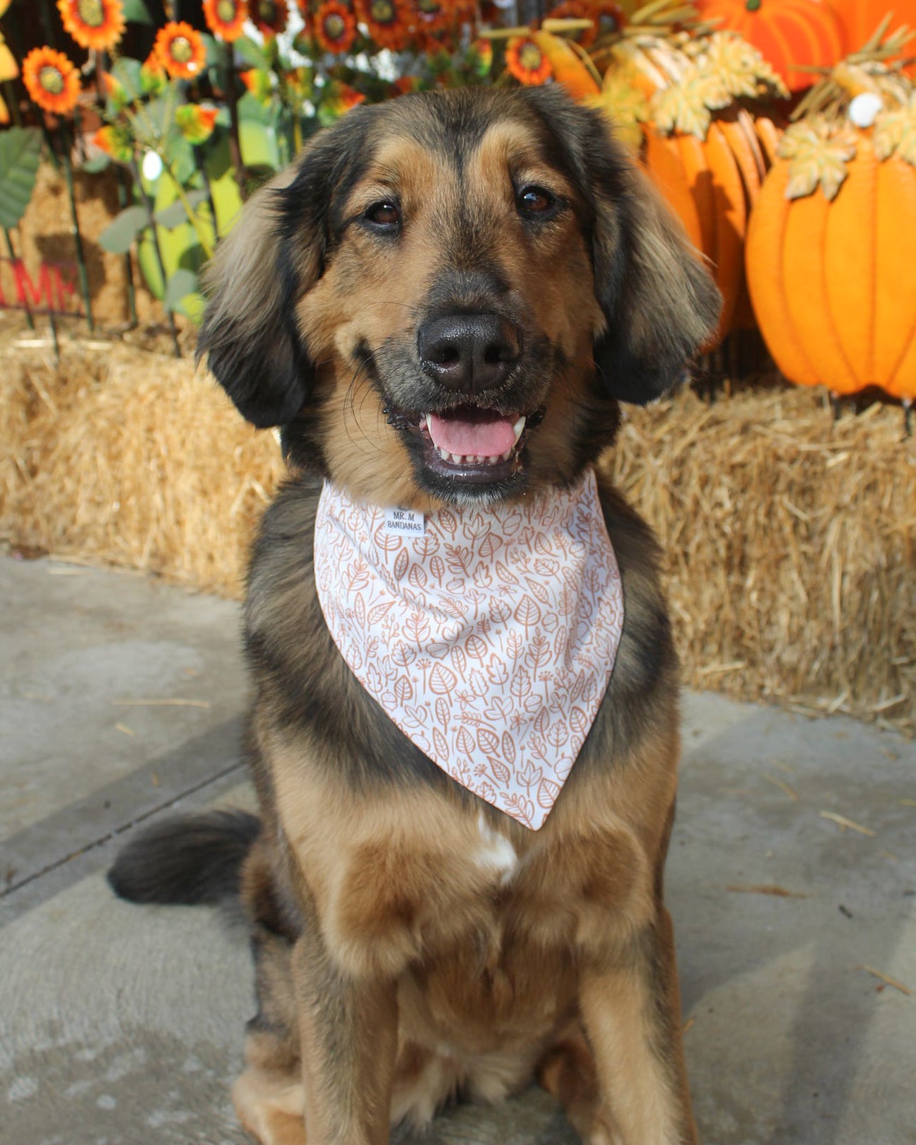 Fall BYOB (build your own bandana)