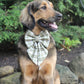 Fall Collar Bows