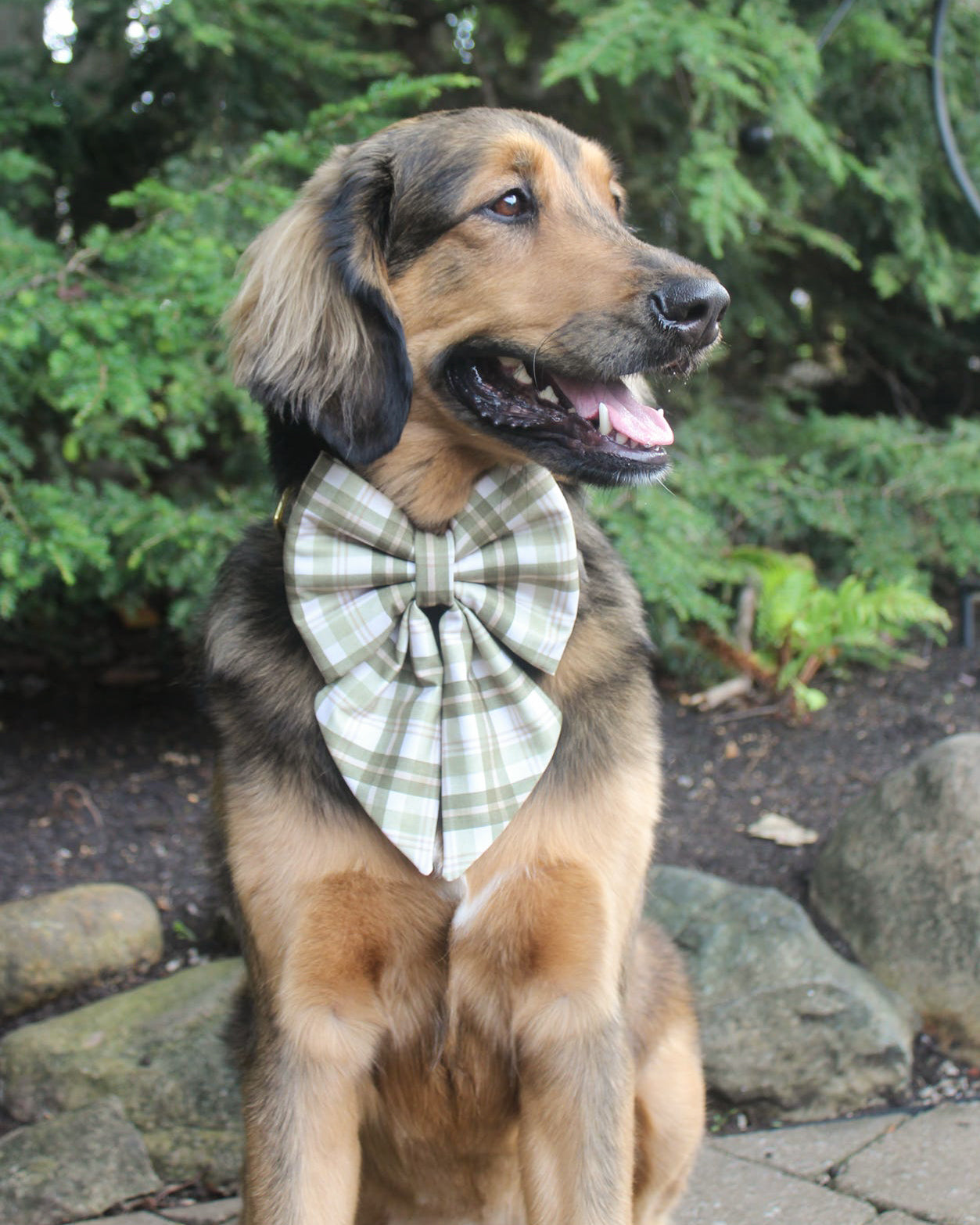 Fall Collar Bows