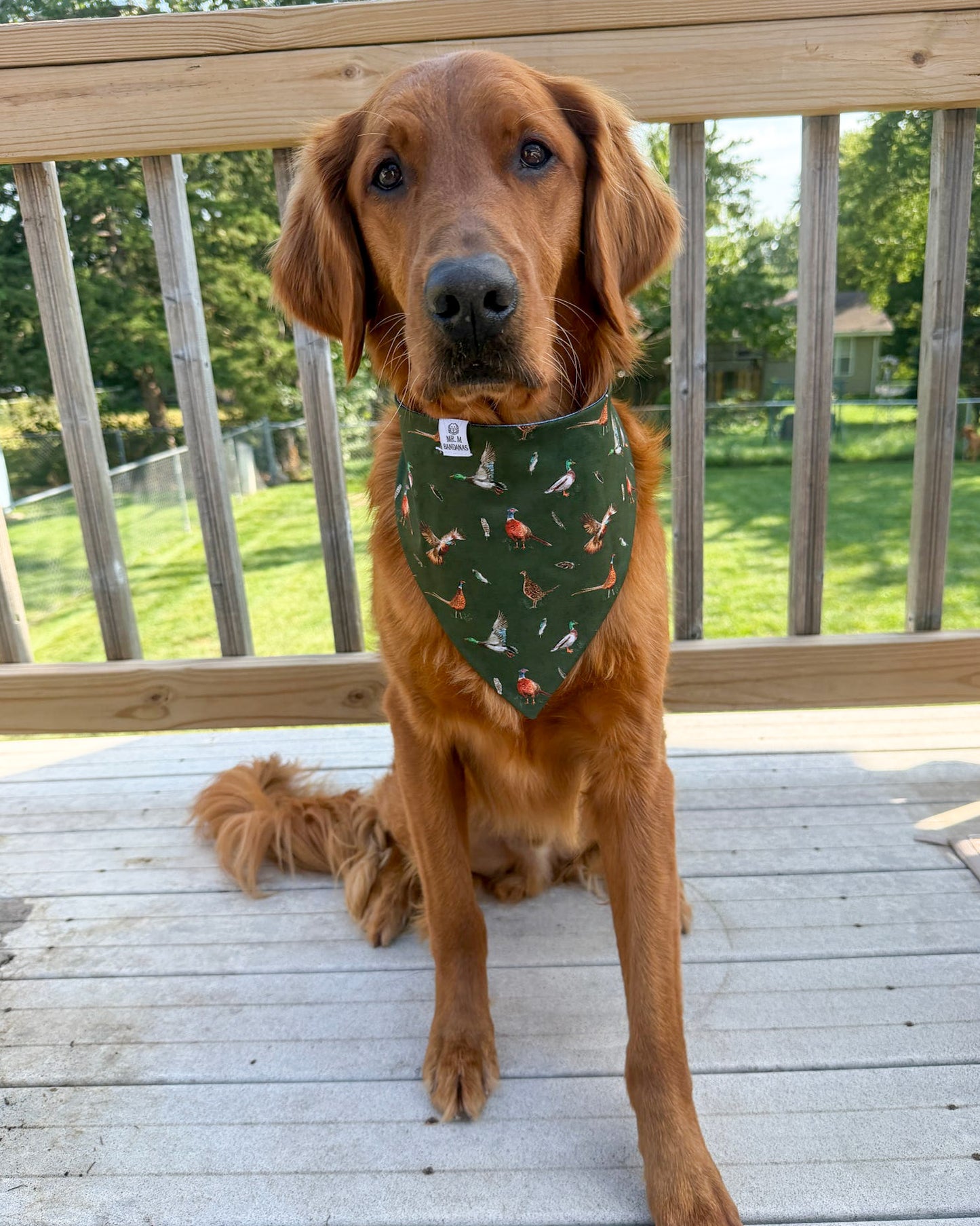 Fall BYOB (build your own bandana)
