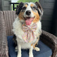 Summer Collar Bows