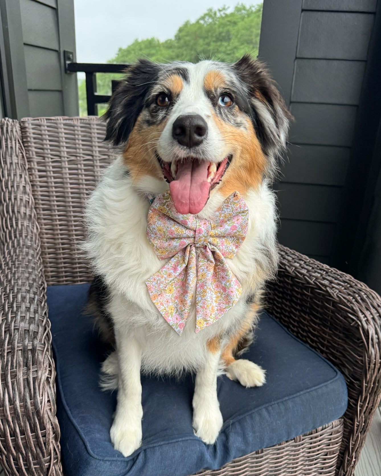Summer Collar Bows