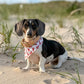 Nantucket Beach Club- MMB Exclusive