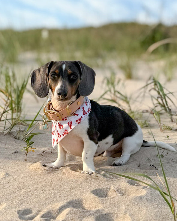 Nantucket Beach Club- MMB Exclusive