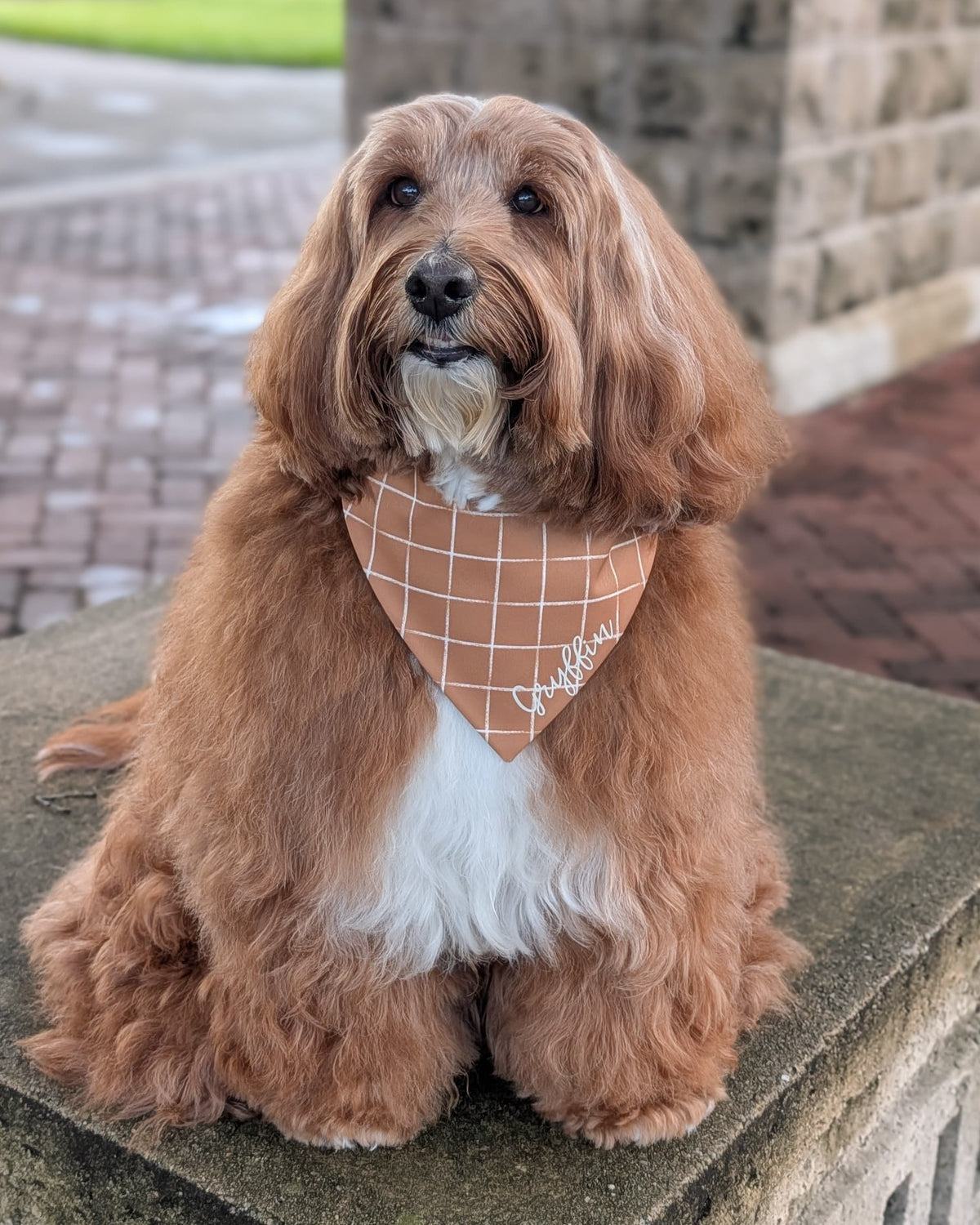Fall BYOB (build your own bandana)