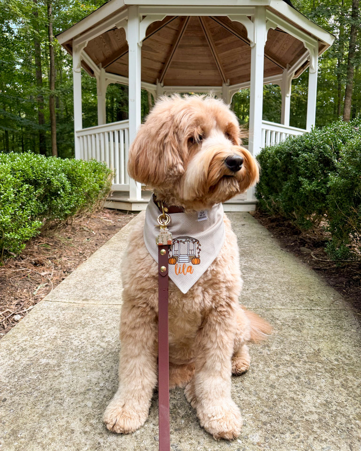 Fall BYOB (build your own bandana)