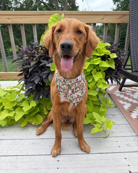 Bodleian