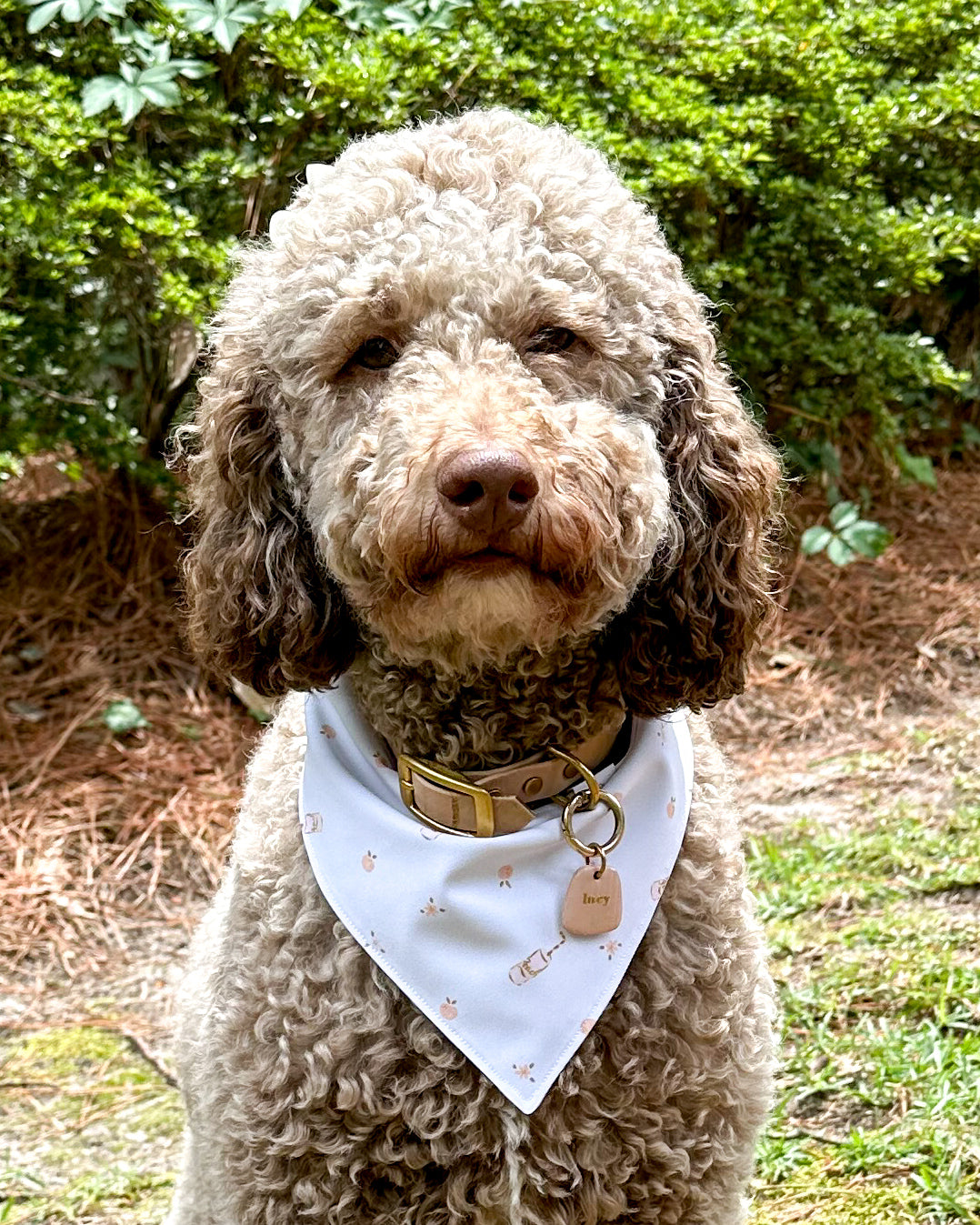 Peach dog bandana best sale