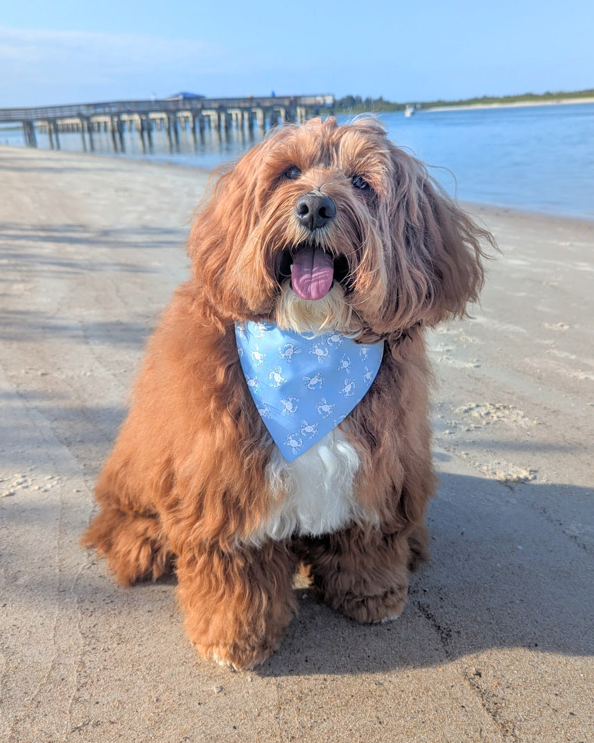 Brant Point Views