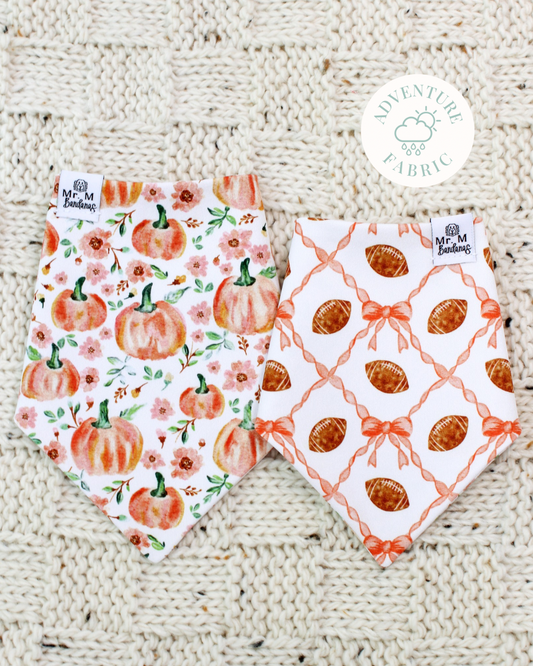 Pumpkin & Petal