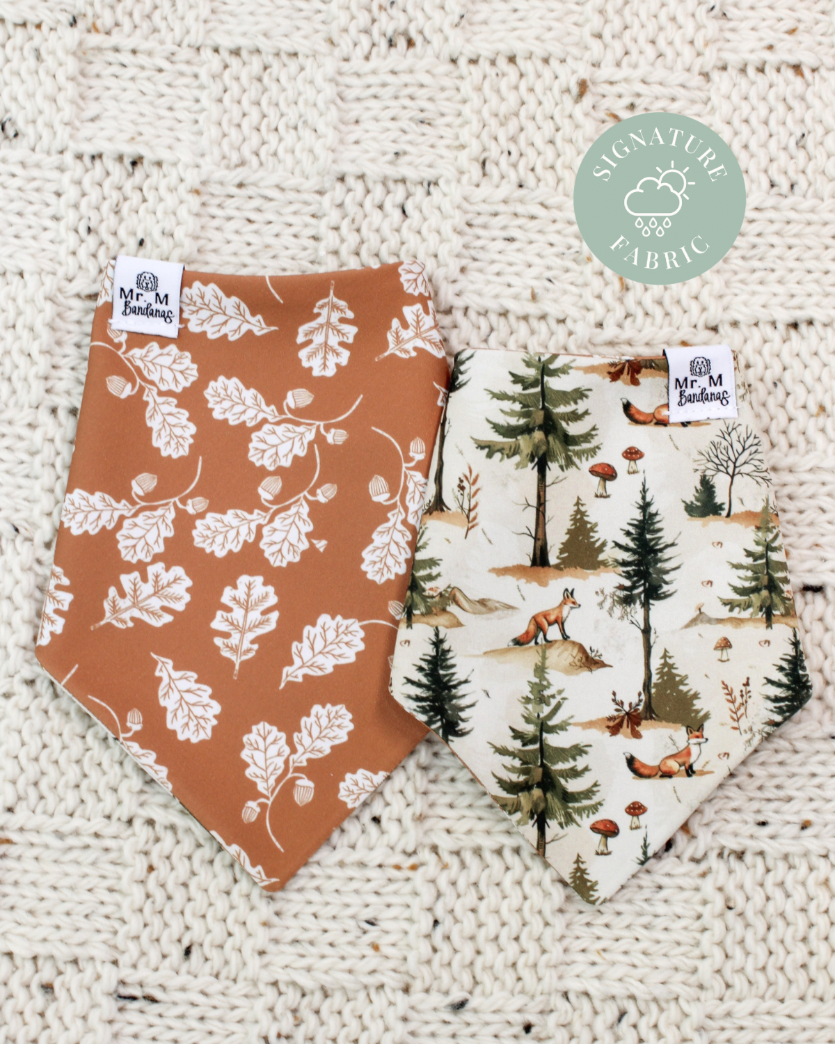 Fox & Fern