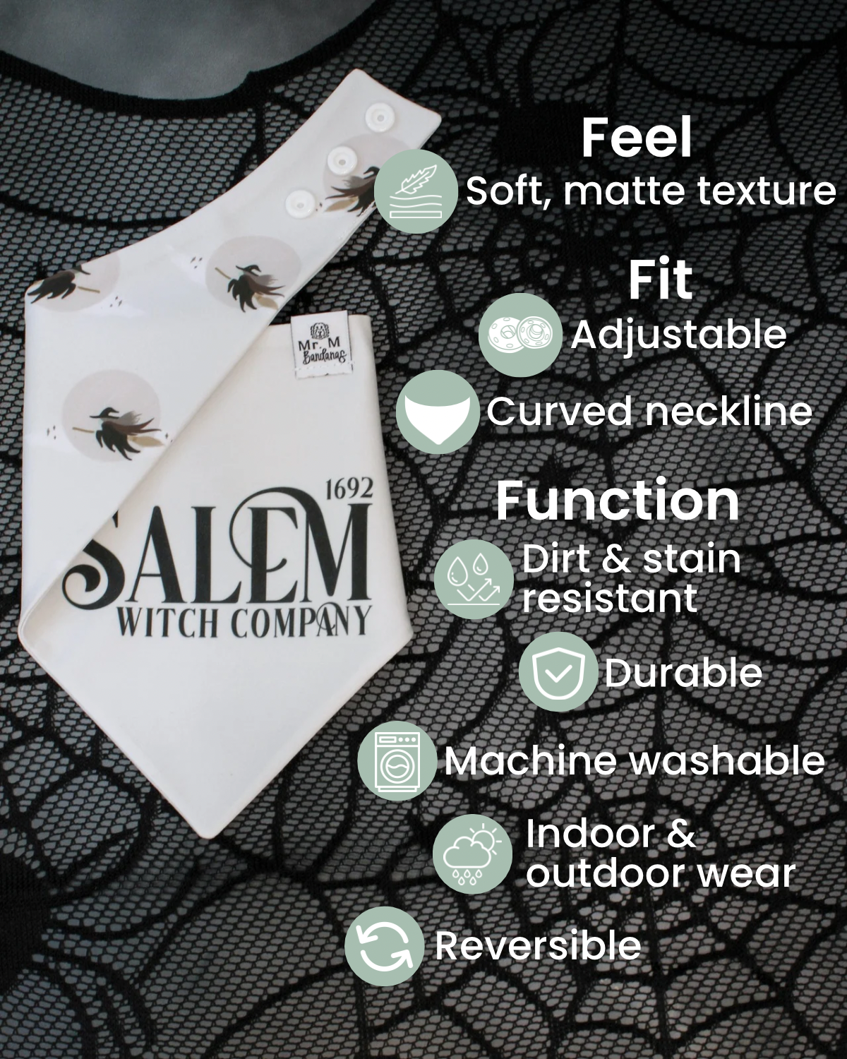 Salem Witch Company