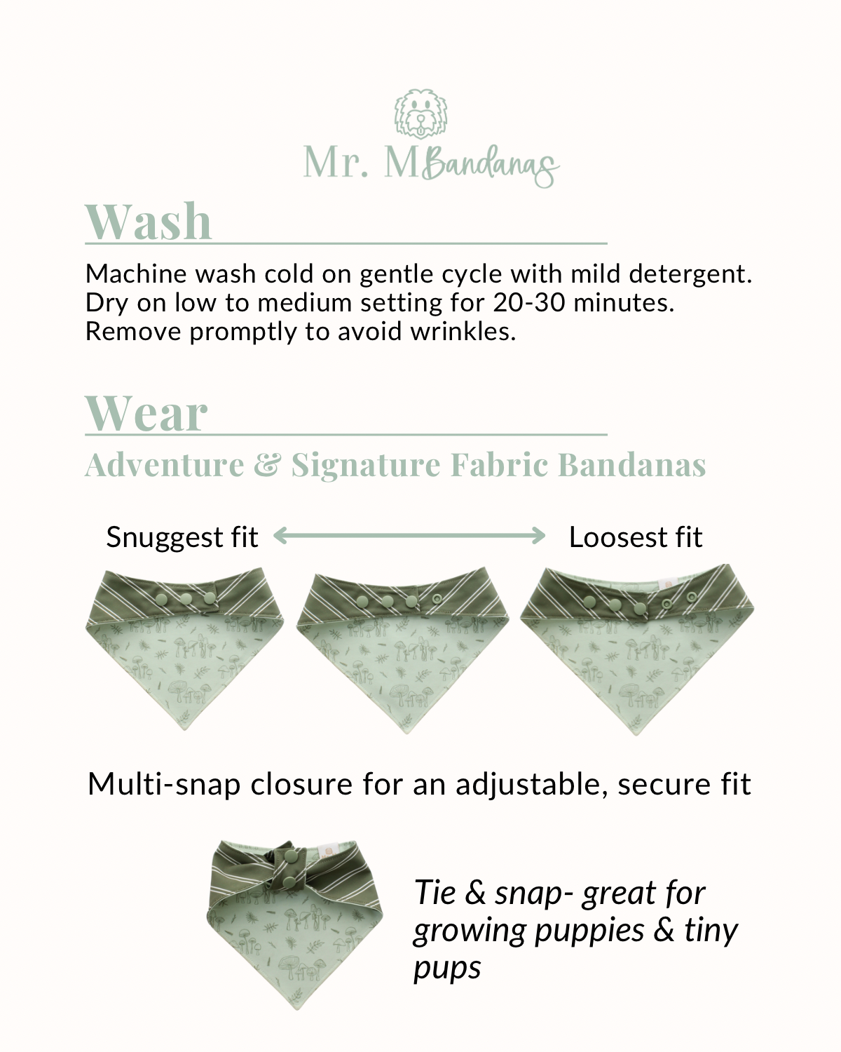 Celebration Bows- choose your graphic