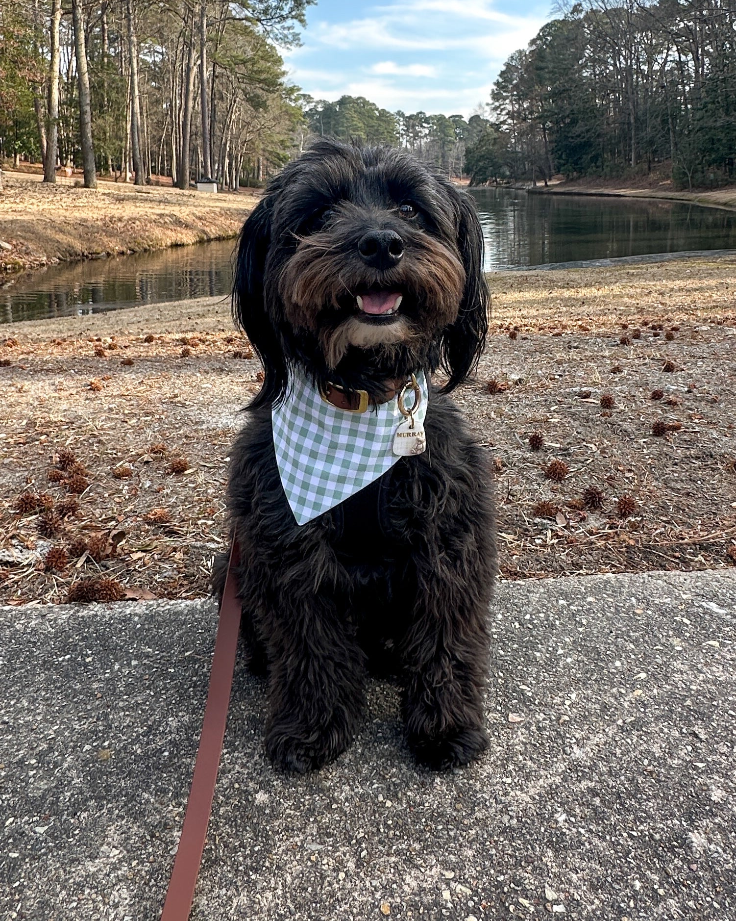 Bandanas your dog can wear while doing dog things. Just makes sense.