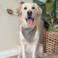 Woof Receivers- MMB exclusive