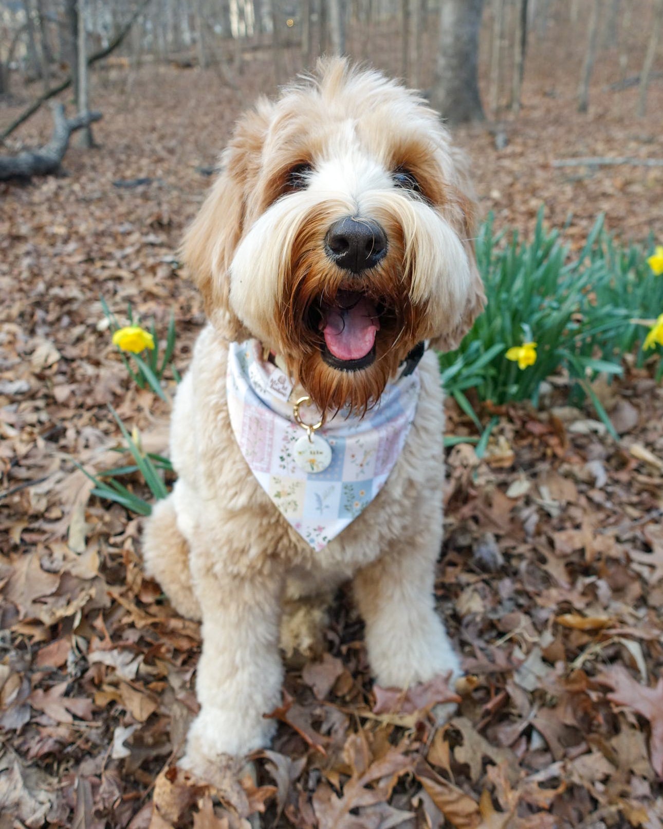 Dog wearing a bandana in a forest setting with fallen leaves and flowers.