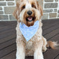 Dog wearing a blue bandana sitting on a wooden deck with a stone wall background