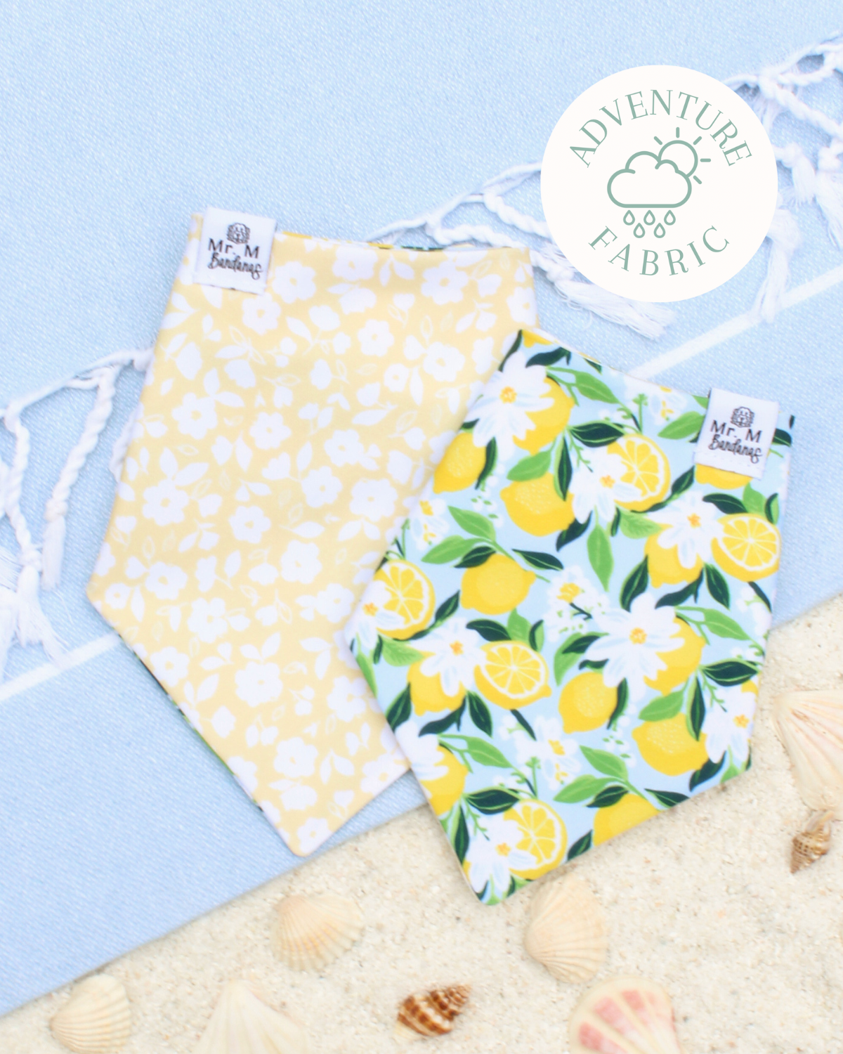 Limone in Fiore