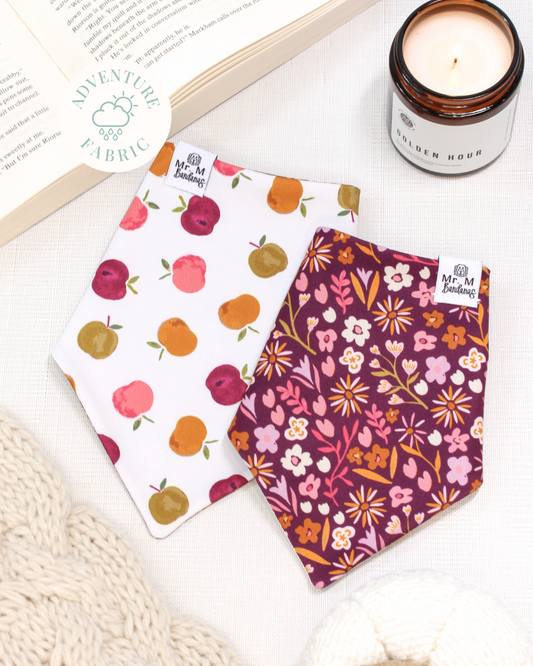 Orchard Blooms