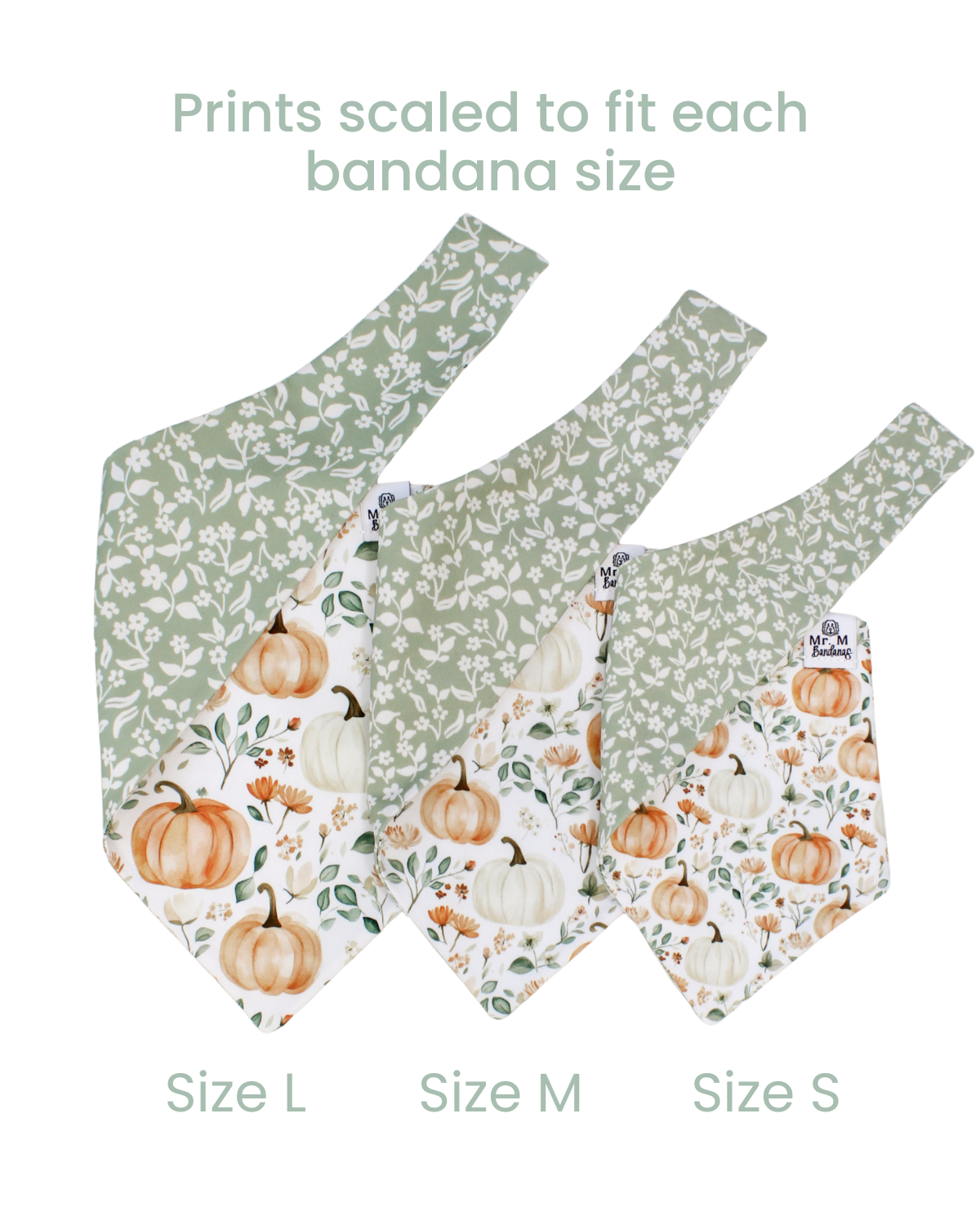 Pumpkin Meadow