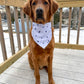 Brown dog wearing a white bandana with purple polka dots on a wooden deck.