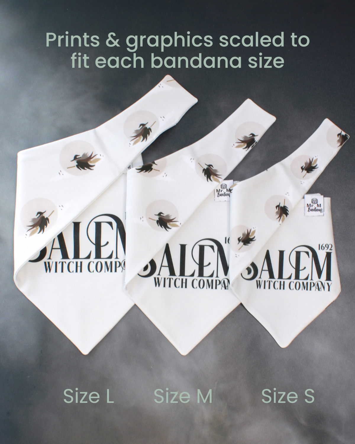 Salem Witch Company