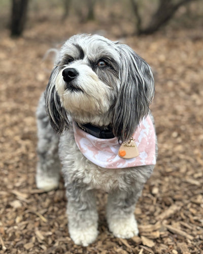 Blush botanicals- SALE