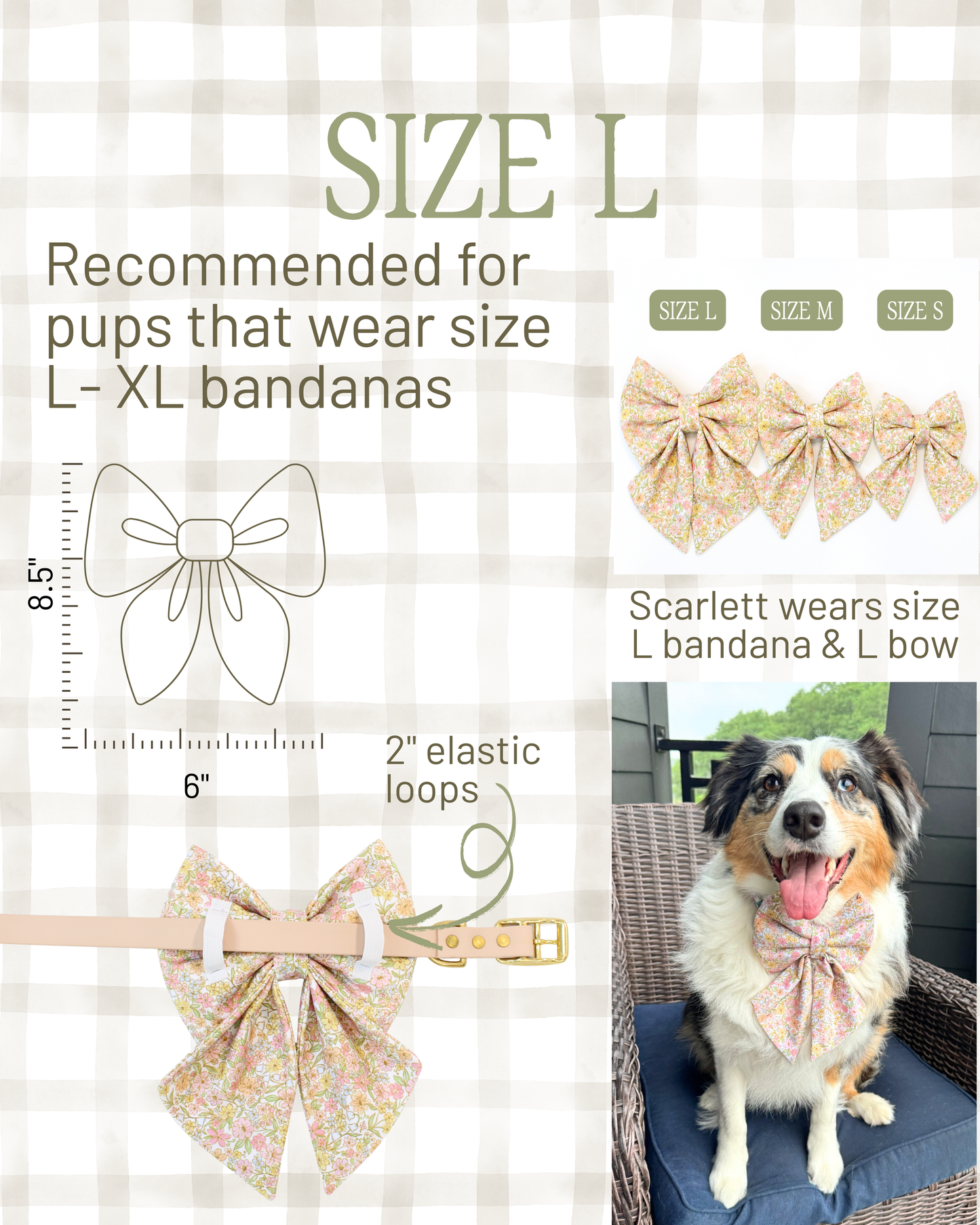 Everyday Essentials Collar Bows