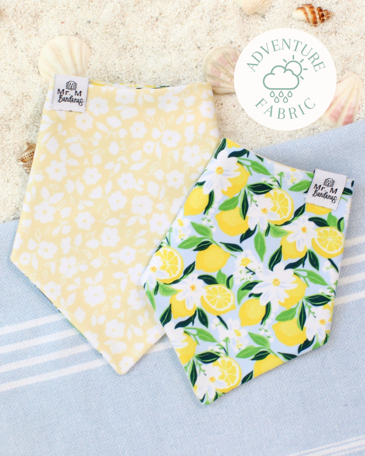 Limone in Fiore