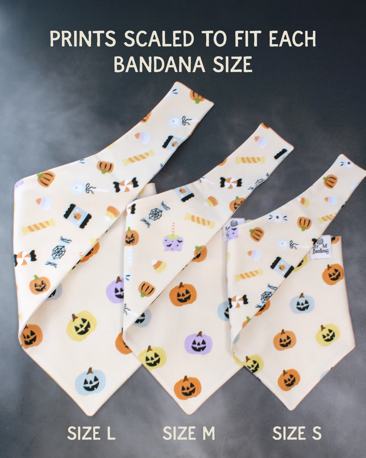 Trick or Treat- MMB Exclusive