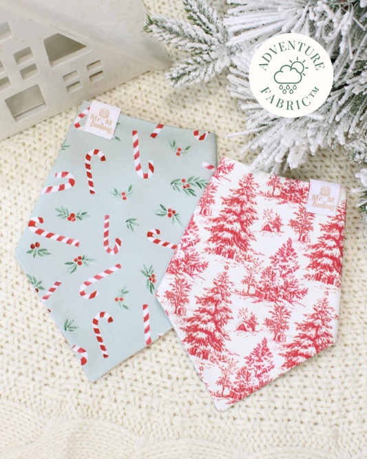 Home for the Holidays