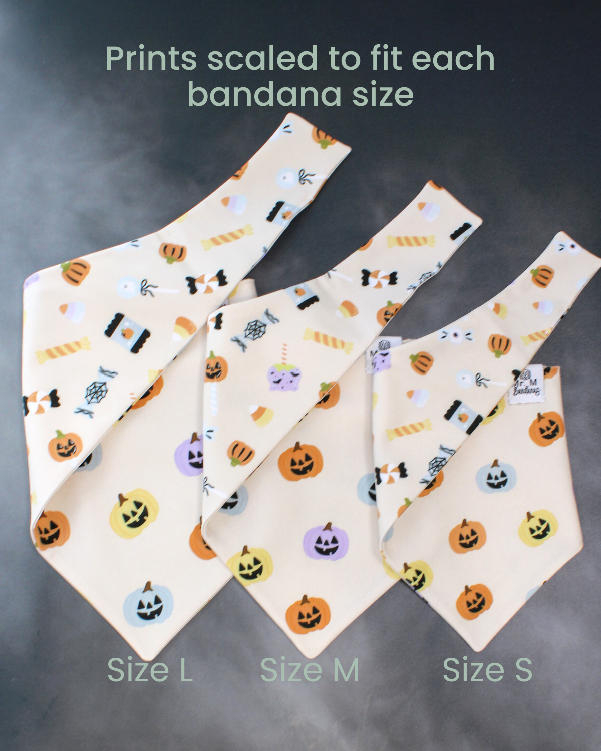 Trick or Treat- MMB Exclusive